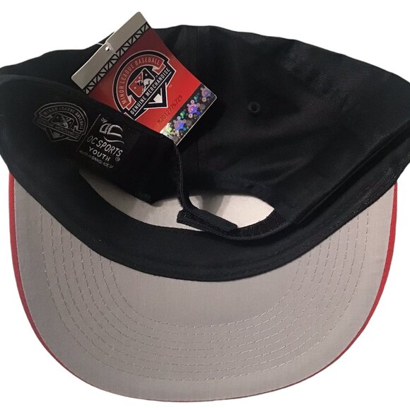 Carolina Mudcats - MiLB Collectible Youth Baseball Cap - Brand New - Picture 2 of 4